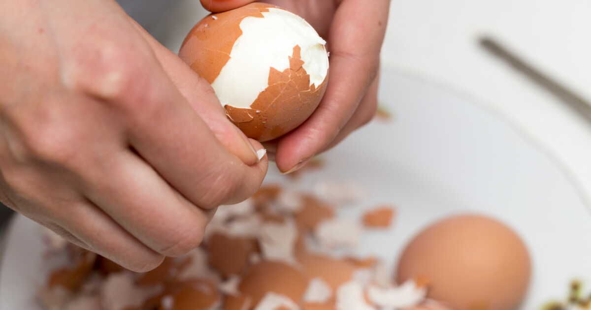 L'art d'écaler un œuf sans encombre : les secrets d'Éric Frechon