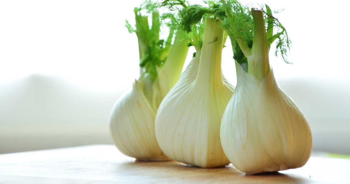 Congeler le fenouil : nos conseils pour une conservation optimale