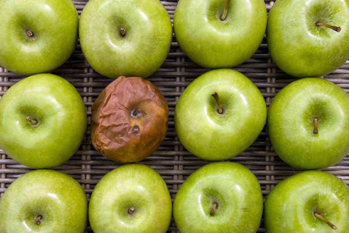 Cinq conseils pour prolonger la vie de vos fruits