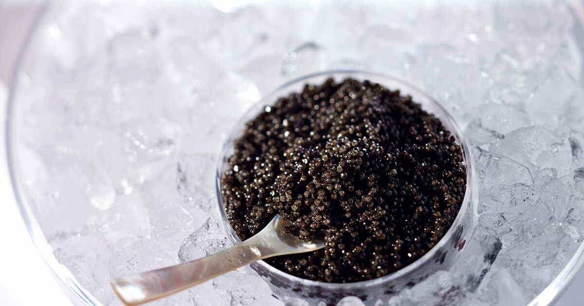 Le caviar : comment bien le choisir