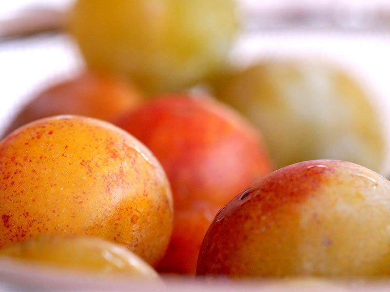 La mirabelle, l'alliée minceur à ne pas négliger