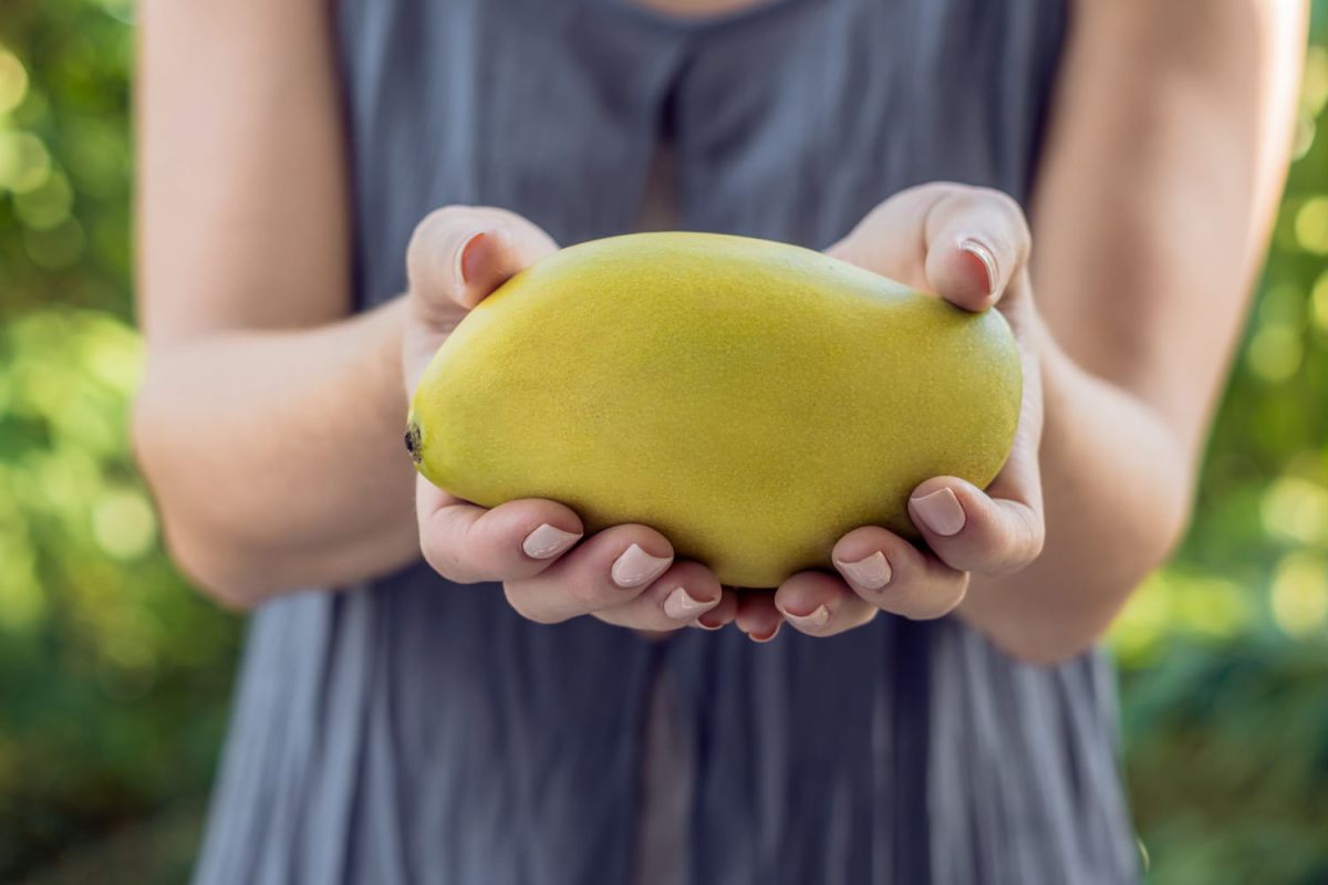 À la découverte de l'asimine, le fruit méconnu qui conquiert les Américains