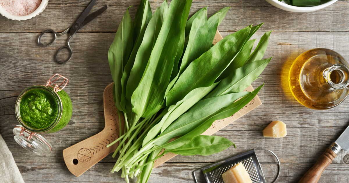 Découvrez l'ail des ours : 15 recettes pour le sublimer en cuisine