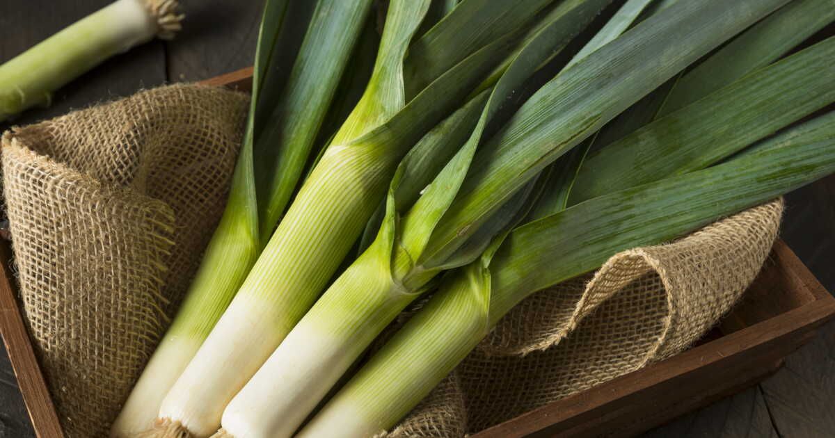 L'oubli qui nous prive des bienfaits des poireaux