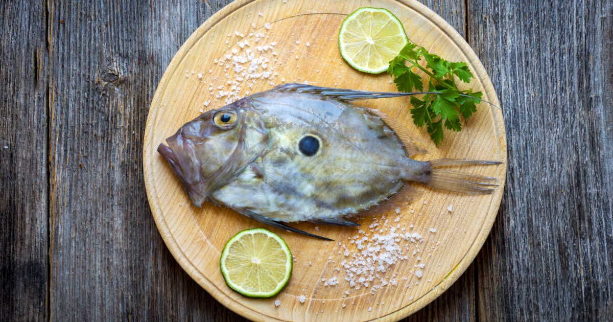 Cuisiner le Saint-pierre : techniques et recettes savoureuses à découvrir