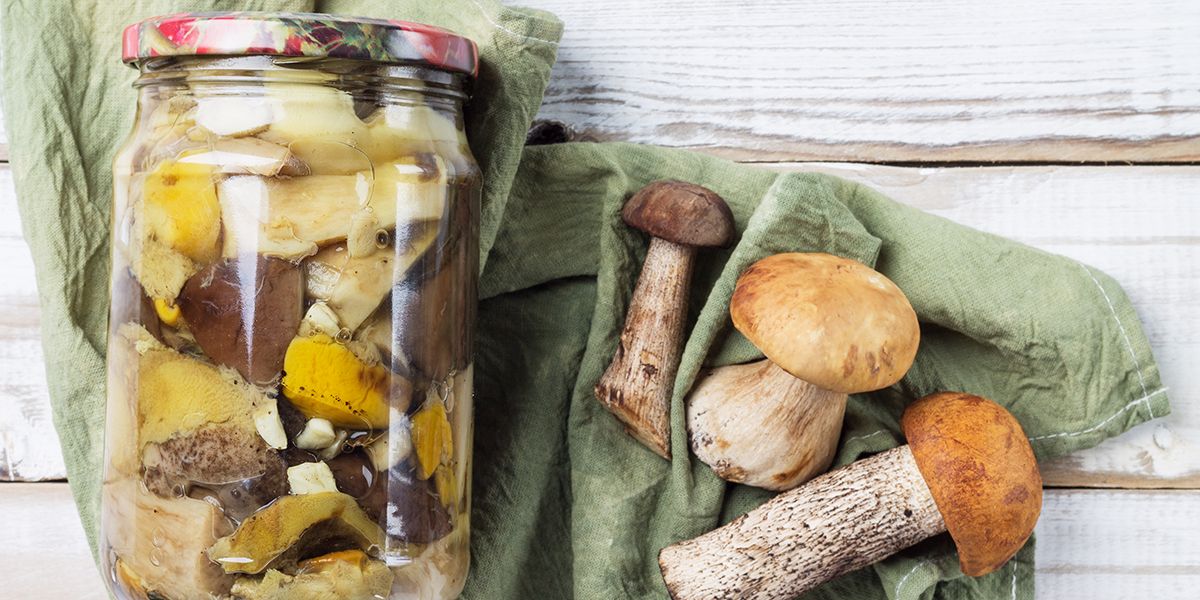 Profitez des champignons toute l'année avec ces astuces de conservation