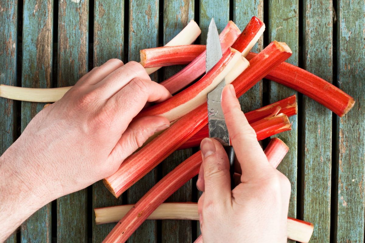 Comment cuisiner la rhubarbe ?