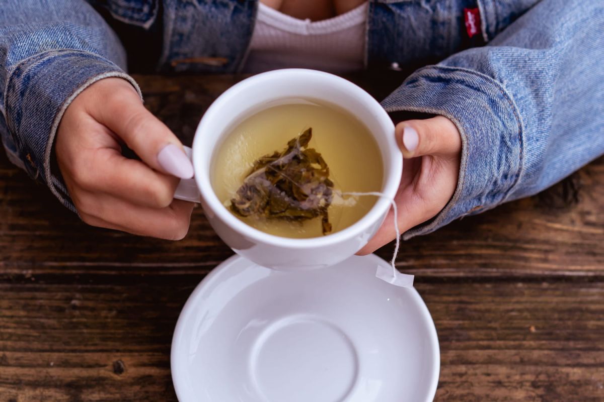 Découvrez les délices du CBD : des mets surprenants à goûter