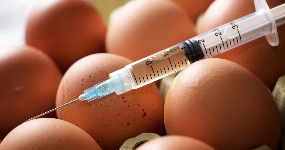 La chimie des aliments : entre illusion et réalité