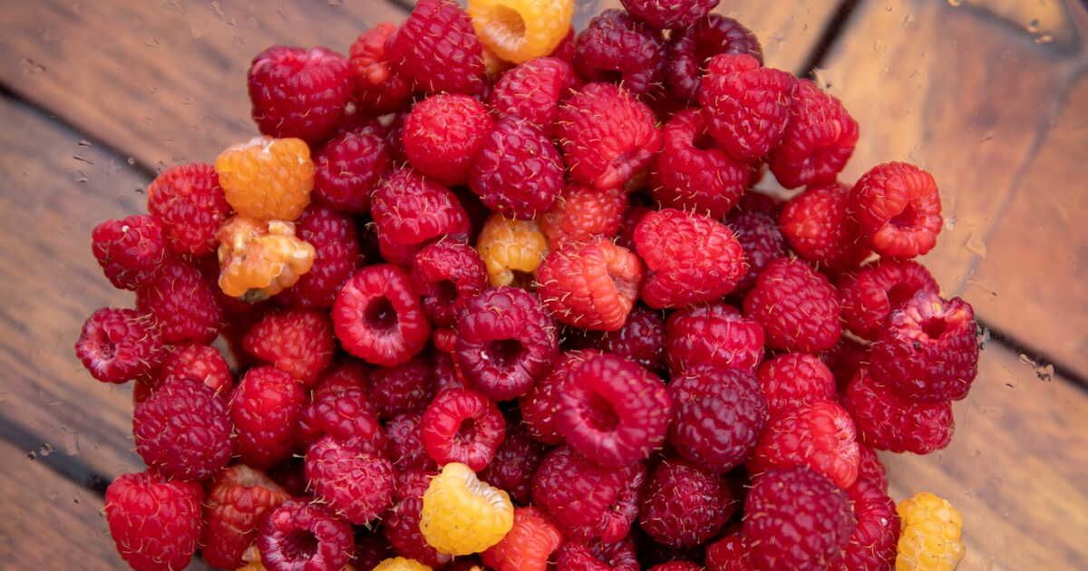 La délicieuse tarte aux framboises de Cyril Lignac