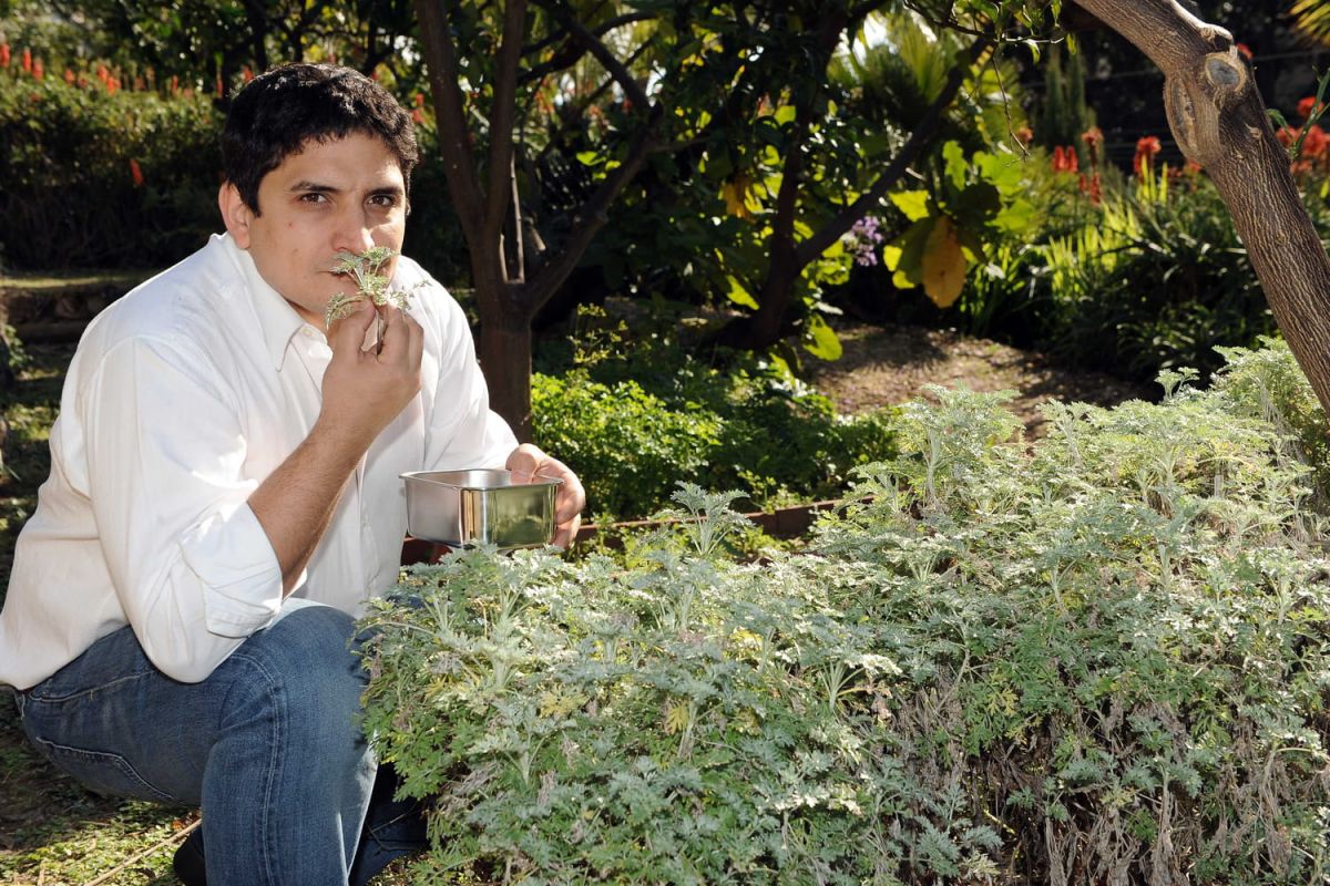 Mauro Colagreco : la success story d'un chef étoilé incontournable