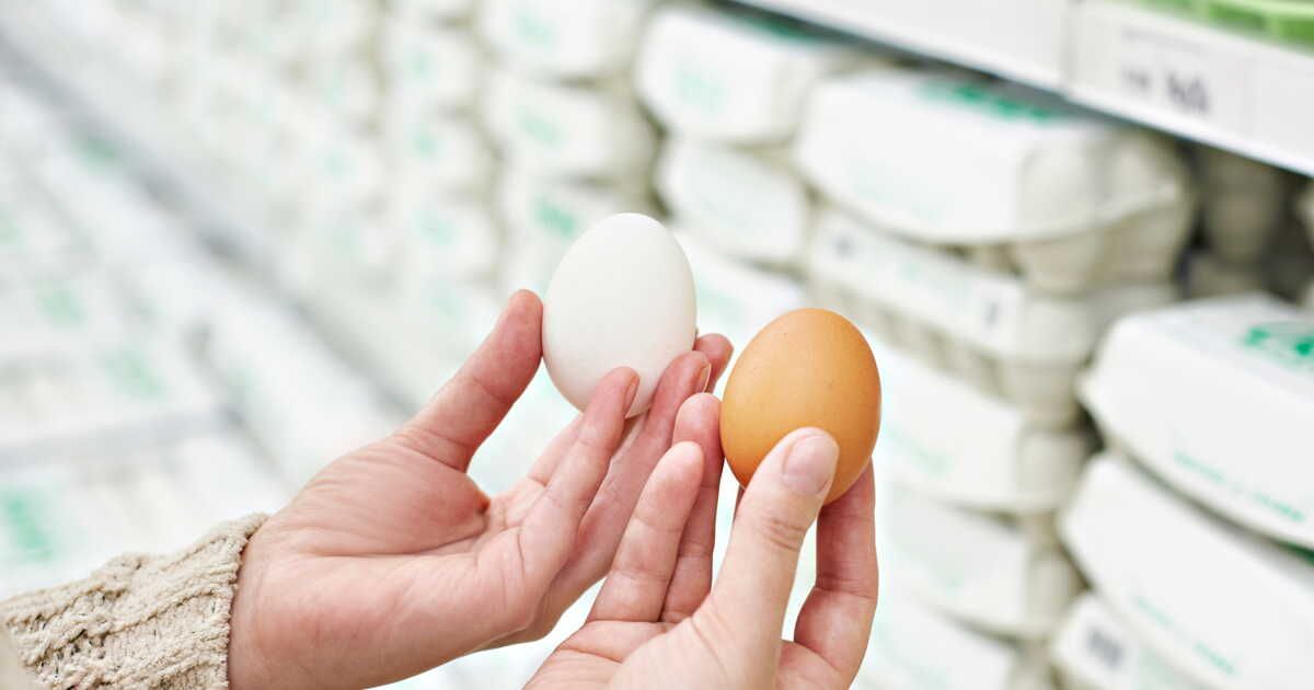 Les secrets pour bien choisir vos œufs