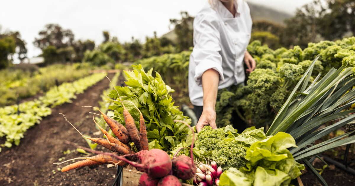 Trois stratégies pour limiter le gaspillage alimentaire en cuisine