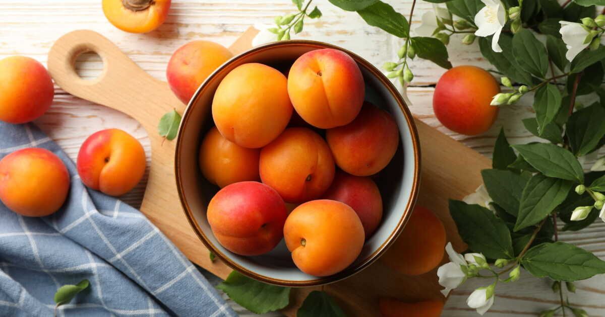 préservez vos abricots : astuces pour une fraîcheur durable