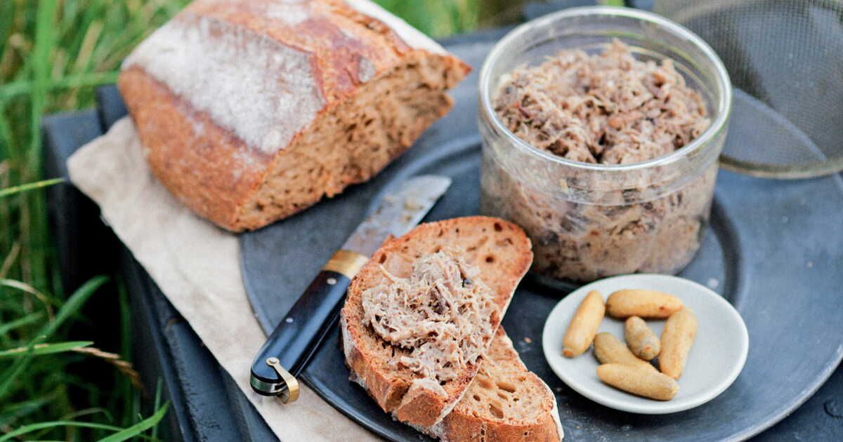 Rillettes de canard confit