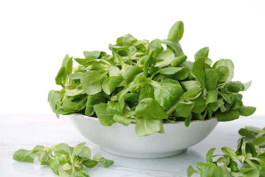 Découvrez la mâche, ce super aliment coupe-faim