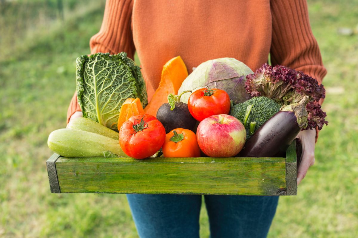 La montée en puissance de la consommation bio en France