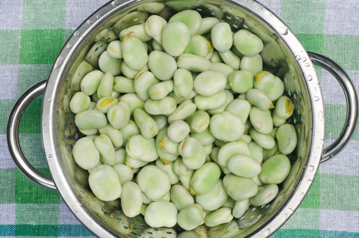 Les secrets d'une cuisson parfaite des fèves, fraîches ou sèches