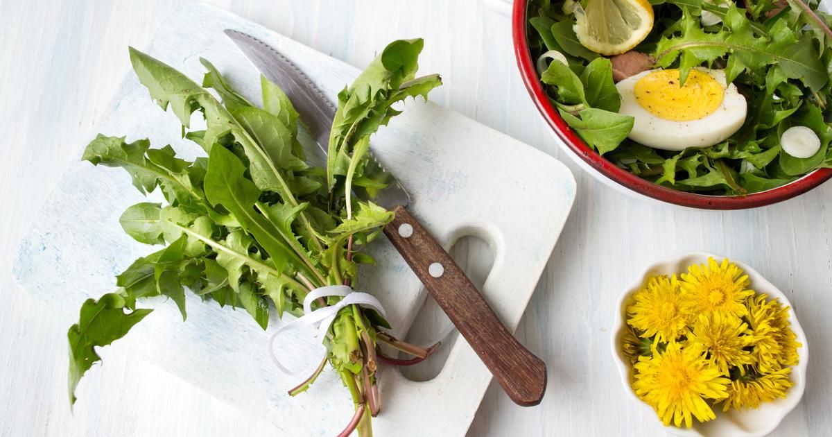 Redécouvrez le pissenlit : un trésor culinaire à portée de main