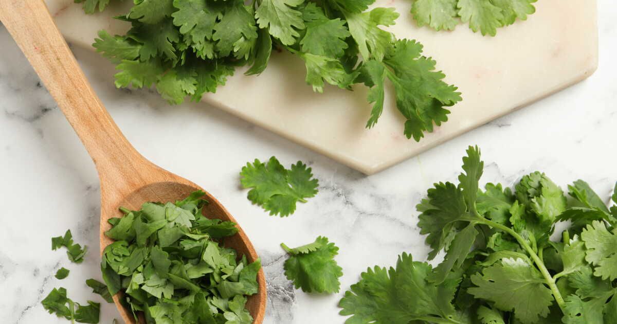 Des alternatives à la coriandre pour vos plats