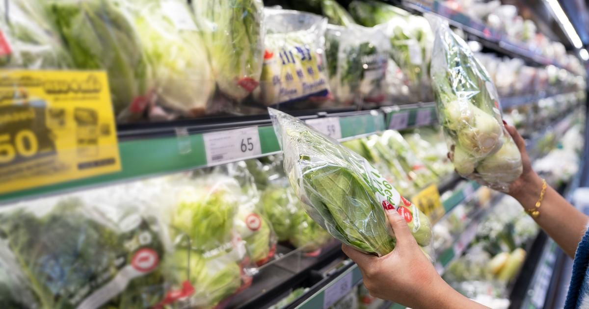 Les salades en sachet : un rinçage indispensable pour votre santé