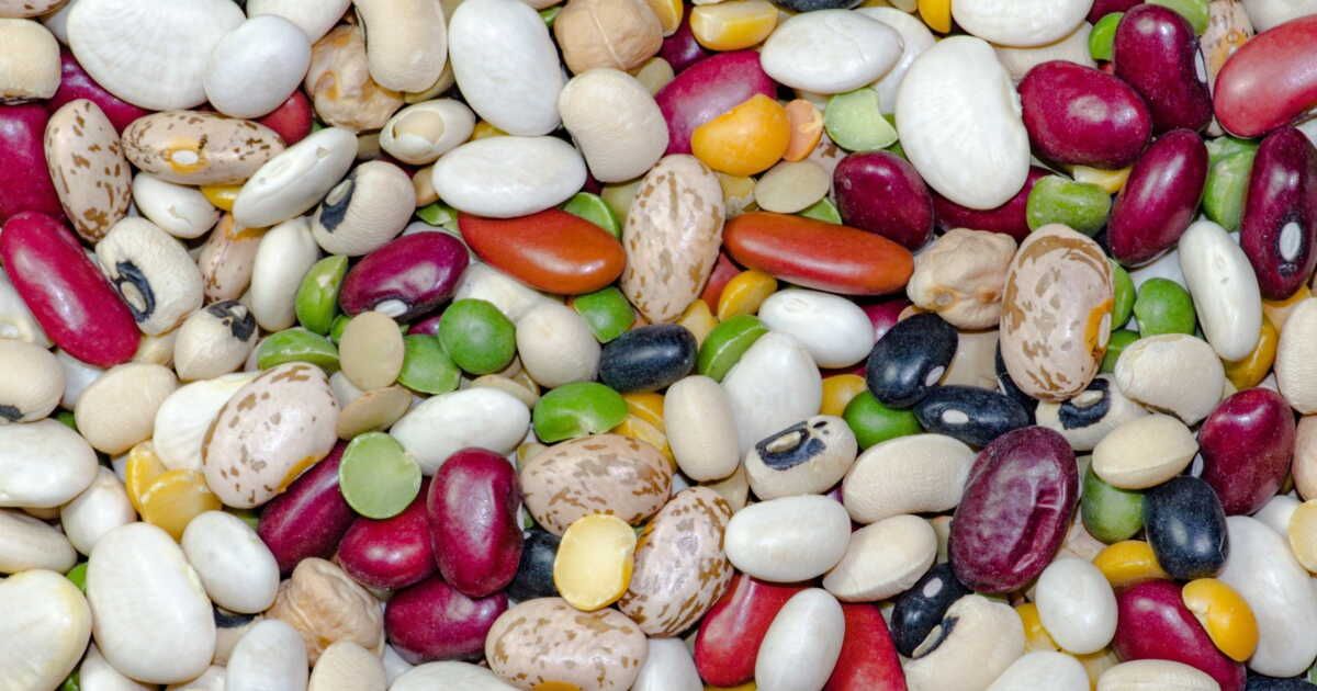 6 variétés de haricots à (re)découvrir