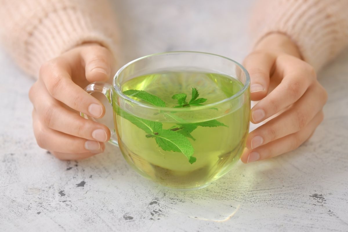 Découverte : le thé vert, un allié contre le cholestérol selon des experts