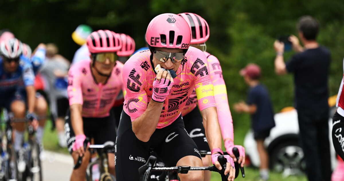 Le festin énergétique des coureurs du Tour de France