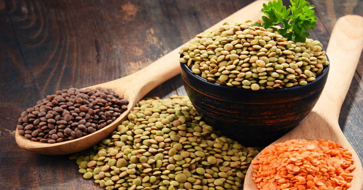 À la découverte des lentilles : savourez leurs 6 variétés incontournables