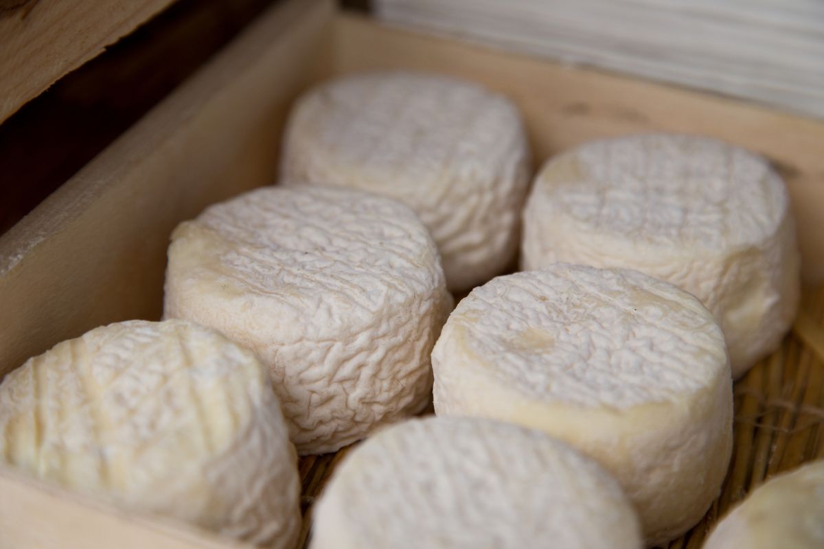Des fromages de chèvre rappelés suite à des cas de salmonellose