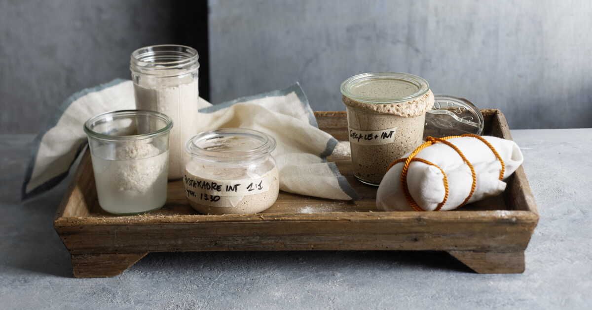 L'art du levain fait maison : une aventure gourmande