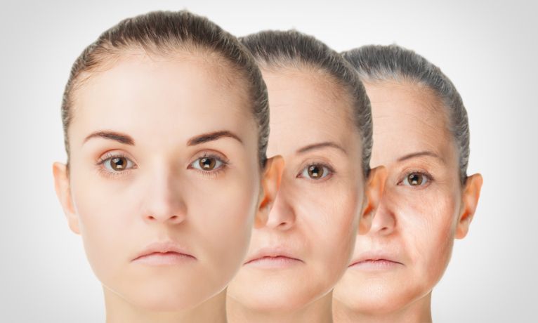 Une vitamine miracle pour contrer le vieillissement ?